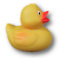 Quack!