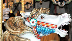 Click to view the Carousel of the Month Photo Show